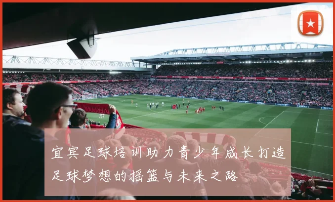 宜宾足球培训助力青少年成长打造足球梦想的摇篮与未来之路