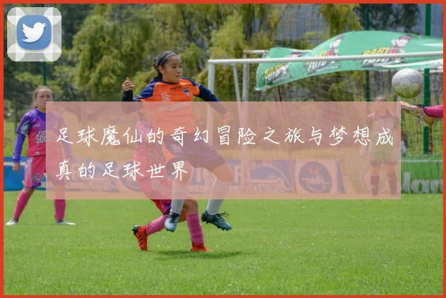 足球魔仙的奇幻冒险之旅与梦想成真的足球世界